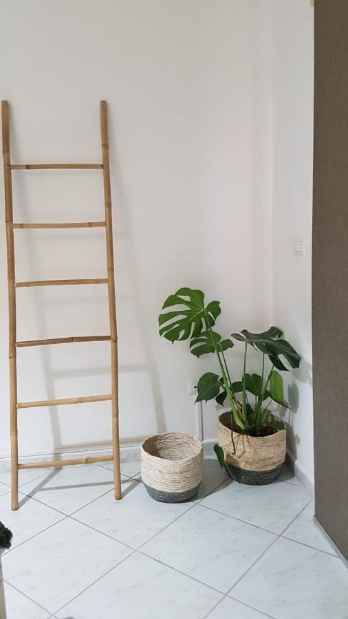 לינה וארוחת בוקר קאפאצ'יו-פאסטום La Ceiba Speciosa מראה חיצוני תמונה
