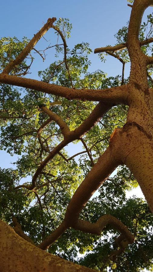 לינה וארוחת בוקר קאפאצ'יו-פאסטום La Ceiba Speciosa מראה חיצוני תמונה