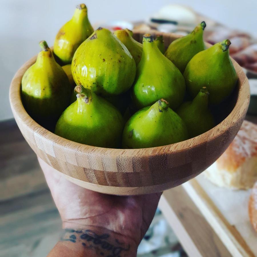 לינה וארוחת בוקר קאפאצ'יו-פאסטום La Ceiba Speciosa מראה חיצוני תמונה